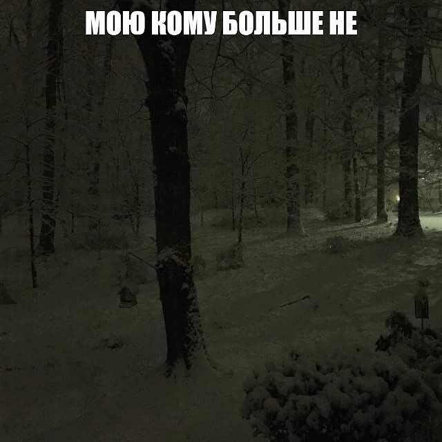 Create meme: Winter forest, winter night forest, Winter forest night