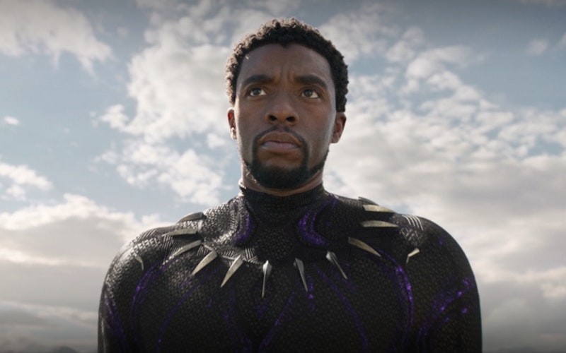 Создать мем: черная пантера ваканда, черная пантера ваканда навеки, black panther film