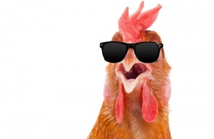 Create meme: surprised chicken, chicken