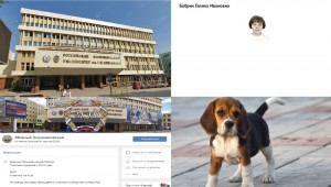 Create meme: dog, popular dog, puppy Beagle