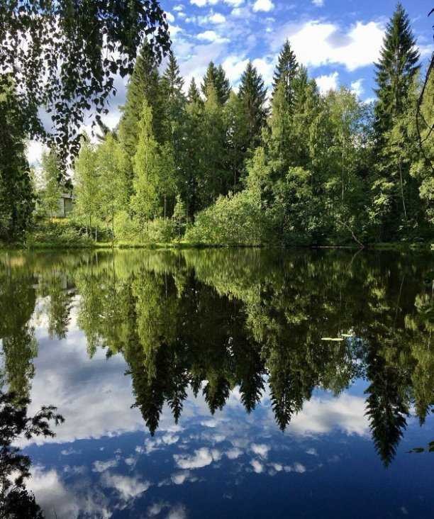 Create meme: forest lake, lake , landscape with a lake