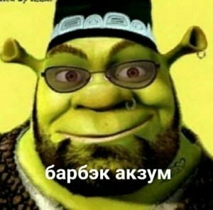 Create meme: Shrek, barback Aksum meme Shrek, the BBQ Aksum Shrek