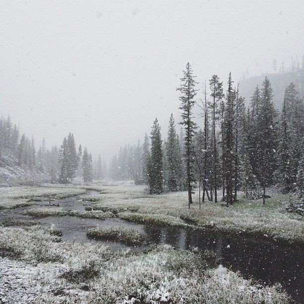 Create meme: snow in Yakutia, snow forest, winter snow 