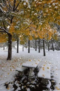 Create meme: autumn winter, the first snow