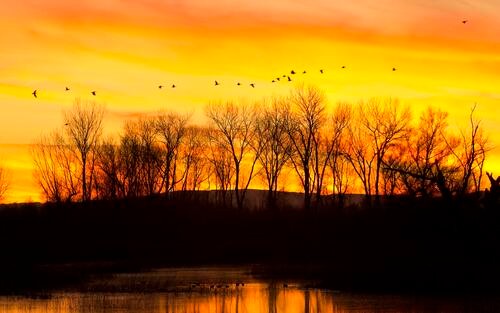 Create meme: orange sunset over the lake, beautiful autumn sunset, sunset landscape