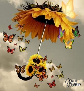 Create meme: beautiful flowers, flowers