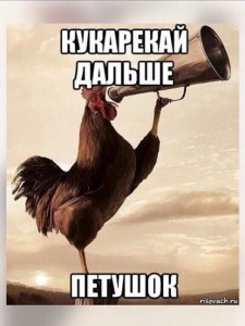 Create meme: good morning, morning, meme cock