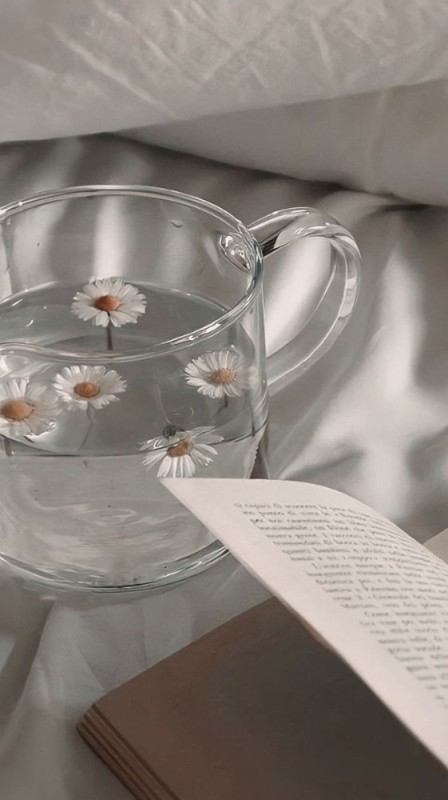 Create meme: flowers in the water aesthetics, chamomile aesthetics, morning aesthetics