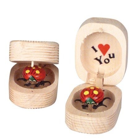 Create meme: toy bug in a wooden box, a bug in a wooden box, A bug in a toy box
