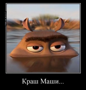 Create meme: Moto Moto from Madagascar, Madagascar Hippo Moto Moto