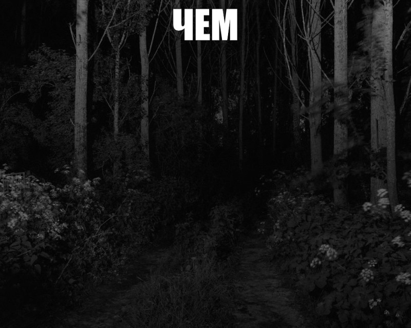 Create meme: the forest dark, The forest is scary, the forest is scary