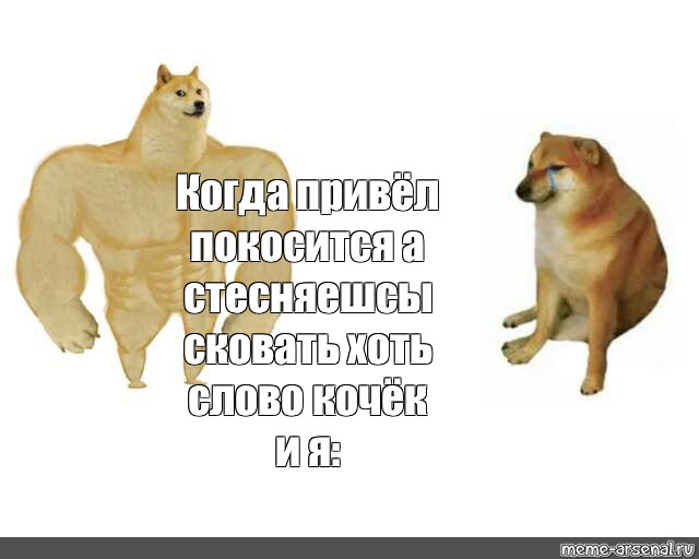 Узнайте пожалуйста. Мем с качком. Buff Doge.