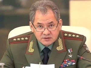 Создать мем: министр обороны шойгу, министр обороны россии сергей шойгу, генерал армии шойгу