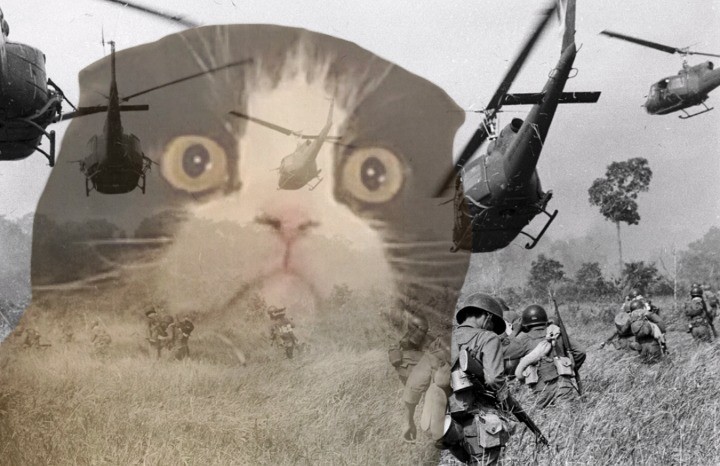 Создать мем: афганские флешбеки, кот флешбеки вьетнам, флэшбэк вьетнам