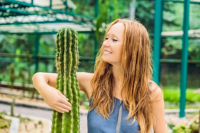 Create meme: cactus woman, The girl sat down on a cactus, A girl hugs a cactus