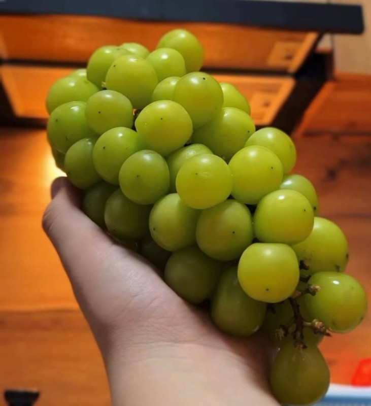 Create meme: grapes, grape variety, green grapes