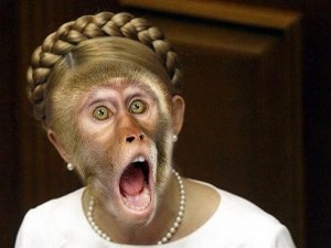 Create meme: Tymoshenko jokes fat, surprise monkey, bulging eyes pictures