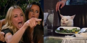 Создать мем: мем с котом за столом и девушками, мем с котом и девушкой, мем женщина и кот