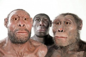 Создать мем: обезьяна похожая на человека, парапитек фото, сходства древних людей с современными