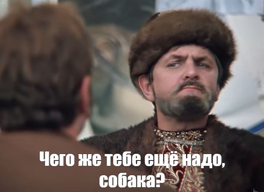 Что тебе еще надо собака. Что тебе ещё надо собака. Что тебе ещё надо собака Мем.