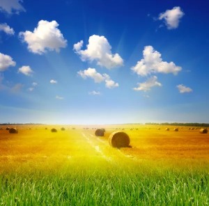 Create meme: field sky, field sun, field nature