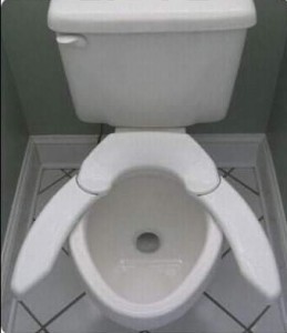 Create meme: dirty toilet, push the toilet, the toilet