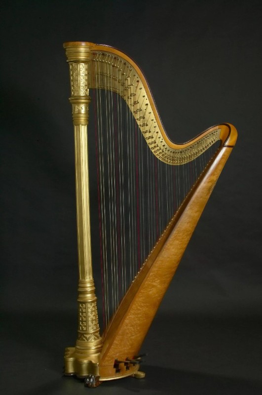 Create meme: harp, The harp is a musical instrument, Andean harp