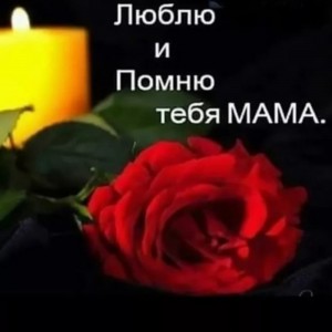 Создать мем: цветок розы, траурные цветы, люблю и помню тебя мама