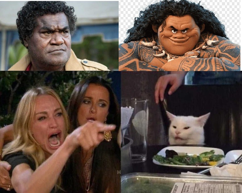 Create meme: meme woman yelling at the cat, cat meme , memes with a cat and girls