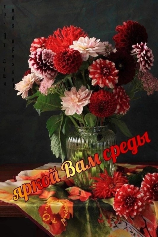 Create meme: morning flowers, the flowers are beautiful, autumn bouquet