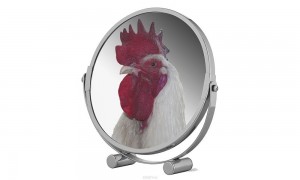 Create meme: cock at you in the mirror, cock in mirror meme, gift mirror cock