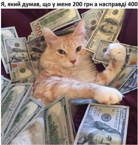 Create meme: cat money, cat with money meme, greedy cat