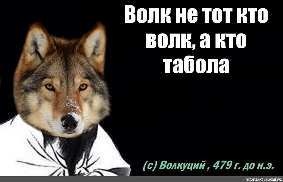 Работа не волк мем. Волк не тот кто волк а тот кто волк Мем. Волк Мем. Мемы с волками. Волк не волк волк волк Мем.