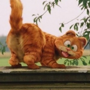 Create meme: garfield, Garfield the cat, Garfield