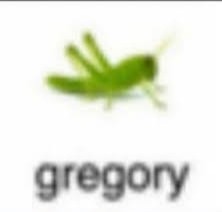 Create meme: grasshopper insect, steam, grasshopper
