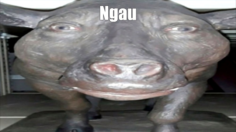 Create meme: null