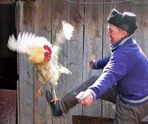 Create meme: kick the cock, cock funny picture, rooster