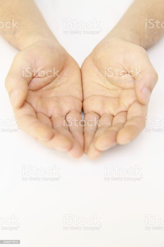 Create meme: open palm, the palm of the hand, palms together