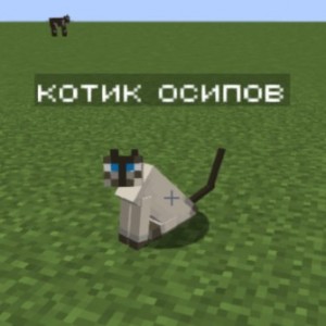Создать мем: minecraft, майнкрафт коты, кот из майнкрафта
