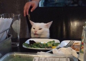 Создать мем: мем с котом за столом, котик, cat at the table мем