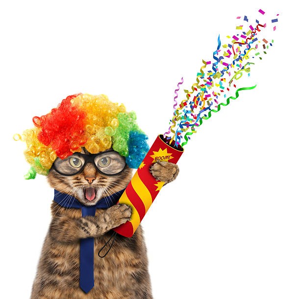 Create meme: cat with a firecracker, funny cards happy birthday, cat 