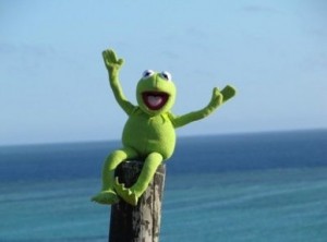 Create meme: Kermit pictures, muppets kermit, kermit