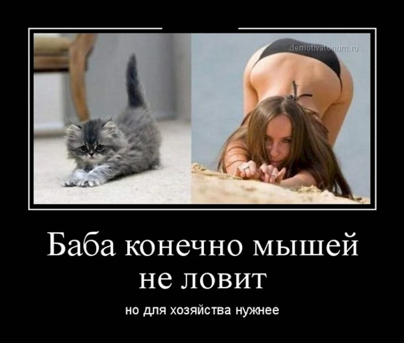 Create meme: funny jokes about women, the girl in the kitty pose, a joke about girls