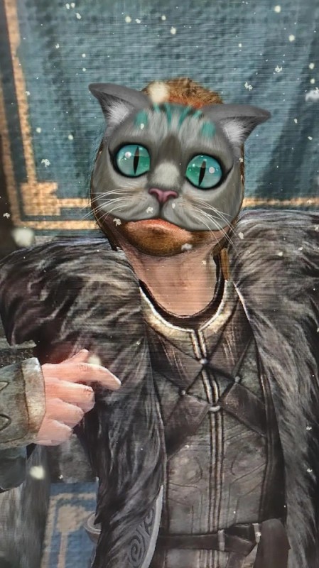 Create meme: Ulfric Petrel, The elder scrolls kajitka, The cat from Skyrim