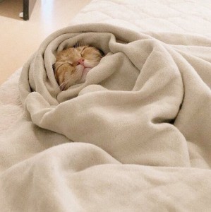Создать мем: доброе утро сонный кот, кот под одеялом, кот в одеялке