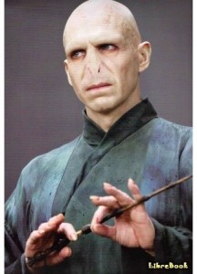 Create meme: Volan de mort, Lord Voldemort