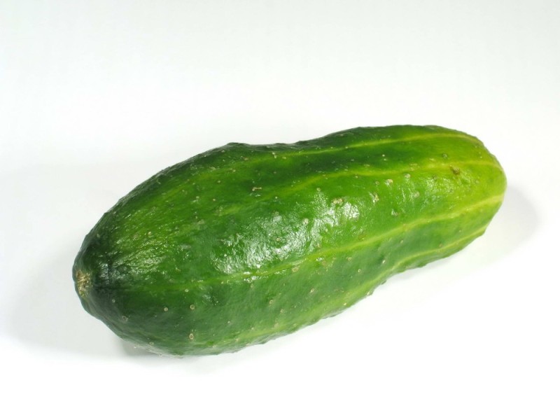 Create meme: cucumber , common cucumber, kukumber