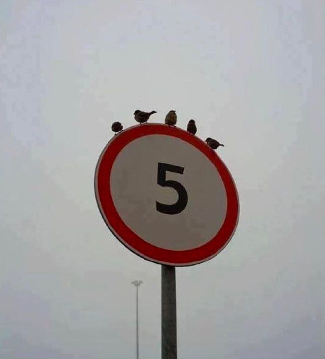 Create meme: The signs are funny, The signs are cool, road signs with numbers