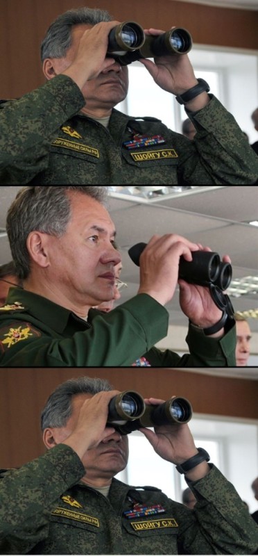 Create meme: Sergei Shoigu , Ministry of Defense of the Russian Federation, shoigu in profile