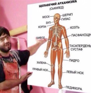 Create meme: anatomy, human anatomy, anatomy